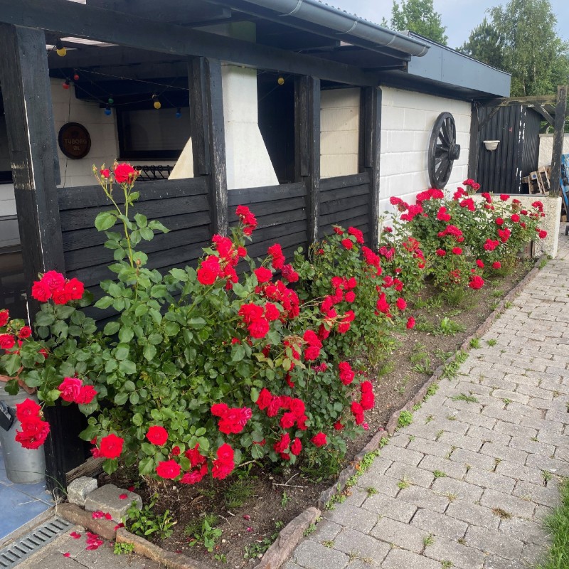 Ferienhaus - 8 Personen -  - Diget - Plejerup - 4571
