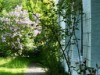 Bilde 4