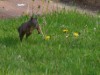 Bild 13