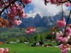 Bilde 6