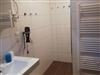 Bild 81