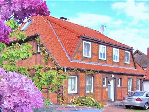 Ferielejlighed - 2 personer -  - Birkmaase - 18374 - Ostseeheilbad Zingst