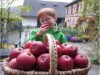 Bilde 3