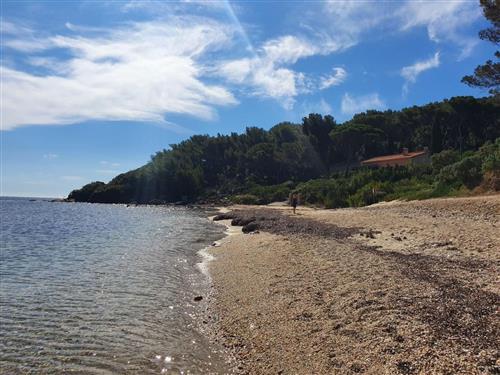 Ferienhaus - 3 Personen -  - Bormes-Les-Mimosas - 83230