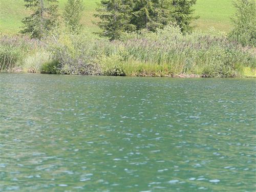 Ferielejlighed - 5 personer -  - Oberdorf - 9762 - Weissensee