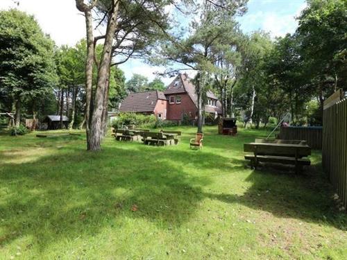 Ferienwohnung - 2 Personen -  - Sanghugwai - 25946 - Nebel