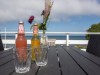 Bild 22 - Terrass
