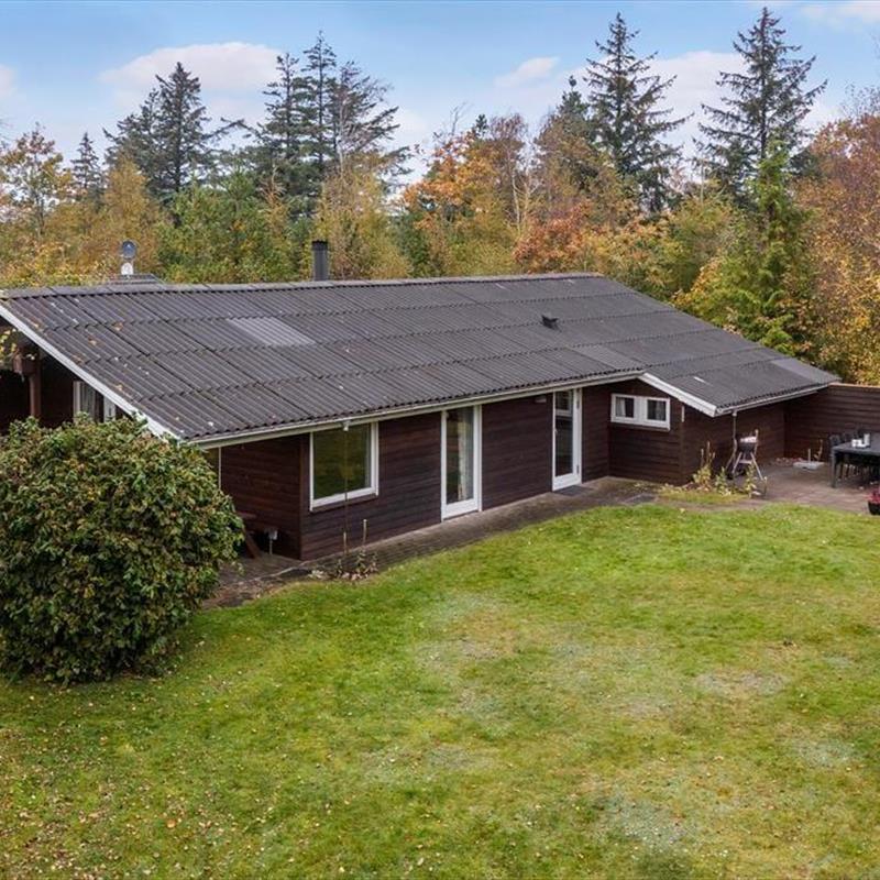 Ferienhaus - 6 Personen -  - Bellisvej - Nörhede - 6990 - Ulfborg