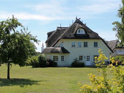 Ferielejlighed - 3 personer -  - Paetowweg - 18347 - Ostseebad Ahrenshoop