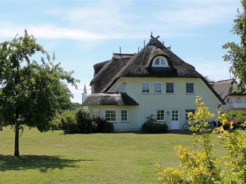 Ferielejlighed - 3 personer -  - Paetowweg - 18347 - Ostseebad Ahrenshoop