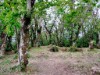 Image 18 - Outside
