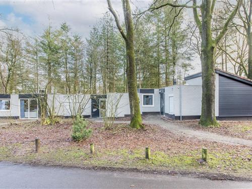 Bungalow - 6 personer -  - 3775KN - Kootwijk