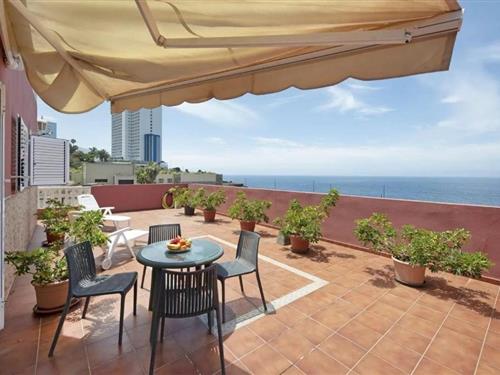 Ferielejlighed - 4 personer -  - calle canoa n6 bajo - 38400 - Puerto De La Cruz