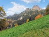 Bild 18