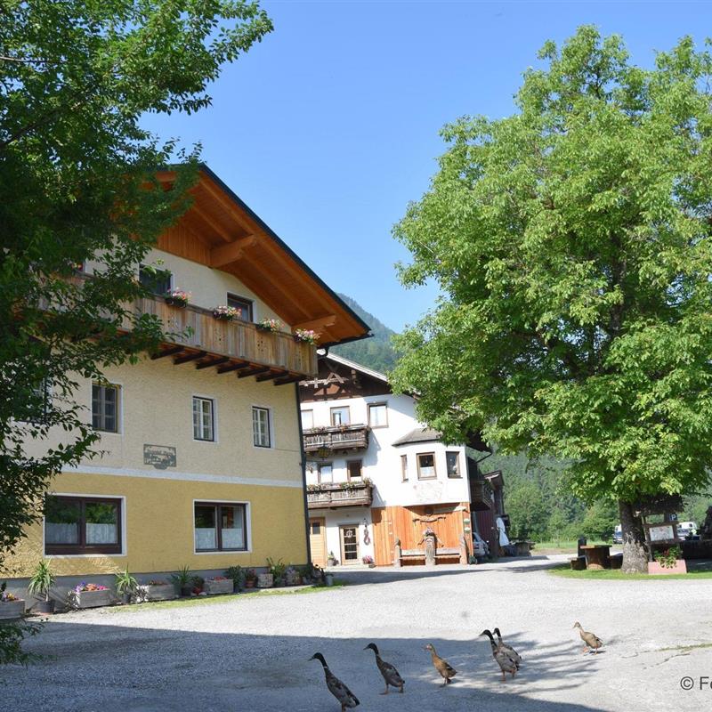 Bondegård - 3 personer -  - Nölbling - 9635 - Dellach