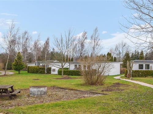 Ferienhaus - 4 Personen -  - Östra Sandskogsvägen 289 Nr. - 271 98 - Ystad