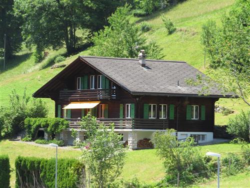 Holiday Home/Apartment - 9 persons -  - Grindelwald - 3818
