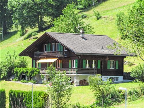 Ferienhaus - 9 Personen -  - Grindelwald - 3818