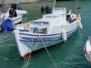 Bild 50 - Ude