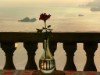 Bild 21 - Aussen