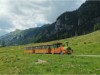 Bild 31