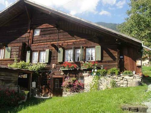 Semesterhus/Semesterlägenhet - 4 personer -  - Alpenblickweg - 3714 - Frutigen