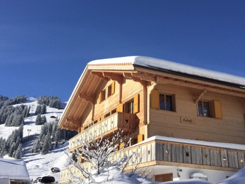 Holiday apartment - 4 persons -  - 3715 - Adelboden