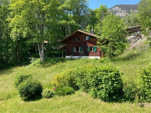 Fritidshus - 8 personer -  - Hasliberg - 6083