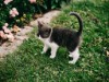Billede 22