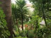 Billede 22
