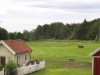 Billede 28 - Udsigt