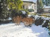 Image 29 - Outside
