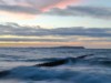 Billede 14