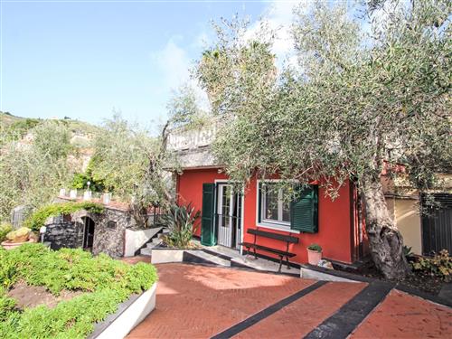 Ferielejlighed - 4 personer -  - Imperia - 18100