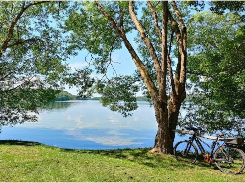 Sommerhus - 4 personer -  - 16831 - Rheinsberg