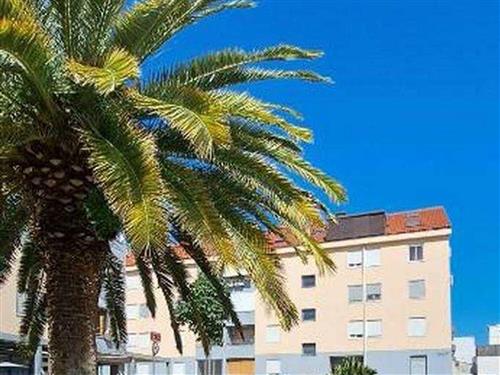 Ferienwohnung - 4 Personen -  - Ul. Stjepana Sulimanca - 21000 - Split