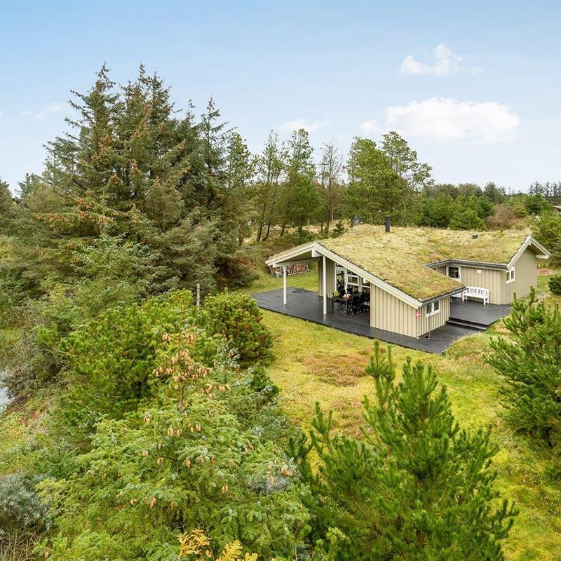 Ferienhaus - 6 Personen -  - Ørnebjergvej - 9493 - Saltum