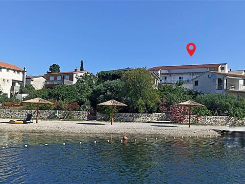 Ferieleilighet - 2 personer -  - Ivana Gorana Kovacica - Sibenik-Pirovac - 22213 - Pirovac