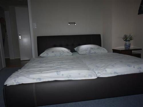 Ferienwohnung - 2 Personen -  - Cologne - 50679