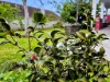 Bilde 26 - Ude