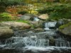 Bilde 31