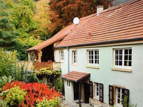 Ferieleilighet - 4 personer -  - Franz-Kugler-Straße - 67435 - Neustadt An Der Weinstraß