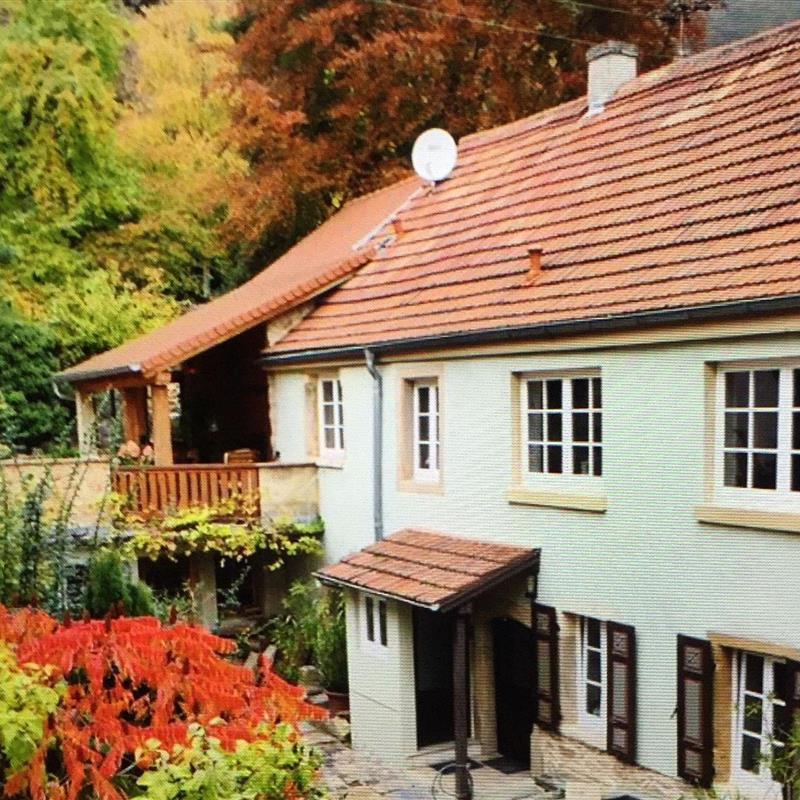 Ferielejlighed - 4 personer -  - Franz-Kugler-Straße - 67435 - Neustadt An Der Weinstraß