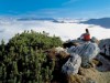 Bilde 5