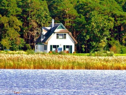 Ferienhaus - 5 Personen -  - 18556 - Breege