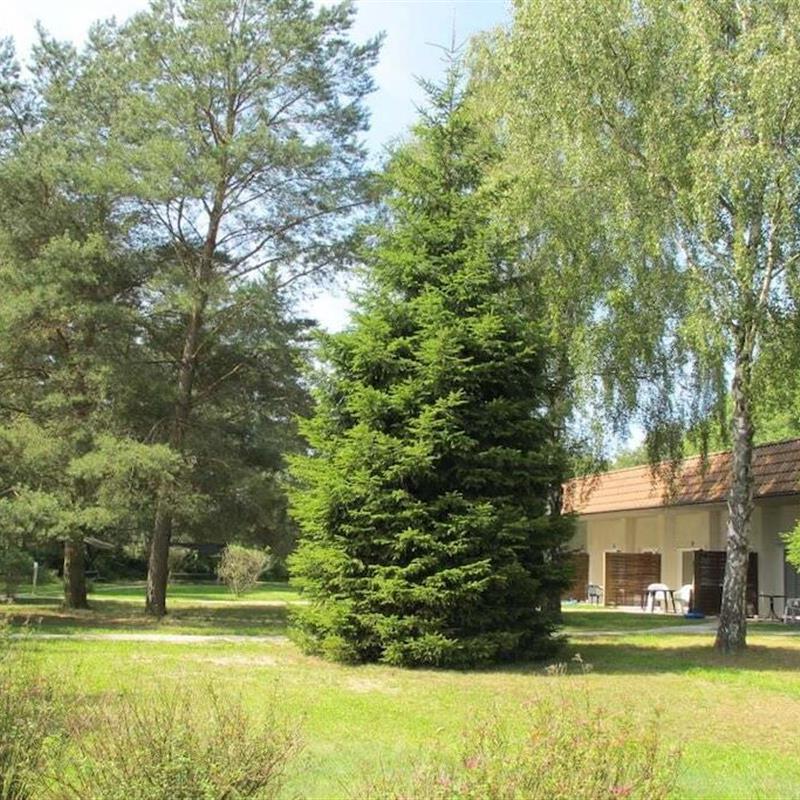 Bungalow - 2 personer -  - 17213 - Fünfseen Ot Lenz