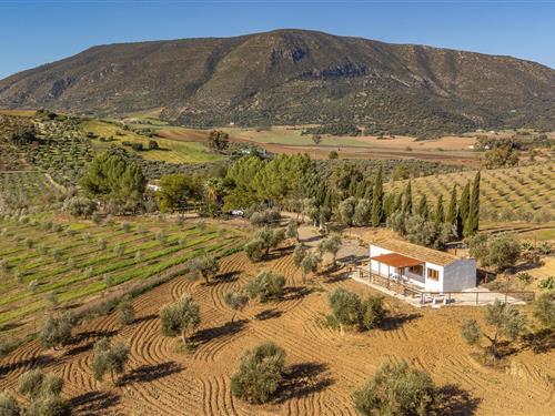 Holiday home - 4 persons -  - Lugar Campo Huerta s/n - 11680 - Algodonales