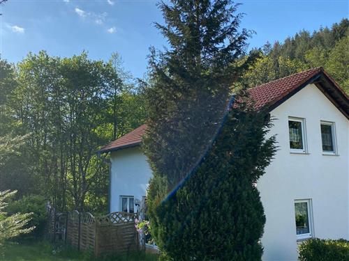 Sommerhus - 6 personer -  - Dorfstr. - 54570 - Schutz