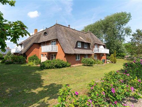 Ferienhaus - 4 Personen -  - Dorfstr. - 25826 - St. Peter-Ording