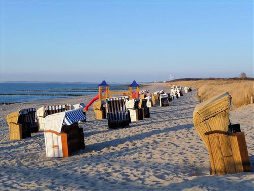 Semesterhus/Semesterlägenhet - 3 personer -  - Igelring - 18181 - Graal-Müritz